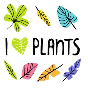 LAS PLANTAS