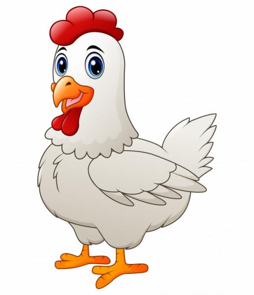 animales domésticos y granja