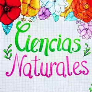 CIENCIAS/DIAGNOSTICO/5°