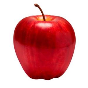 Portada del juego Conociendo frutas – Lengua