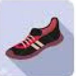 ZAPATOS