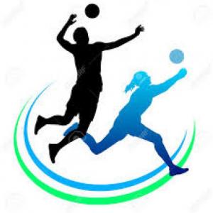 Imagen de portada del videojuego educativo: Señalizaciones- Voleibol, de la temática Deportes