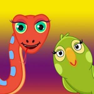 Historieta La serpiente y la cotorra