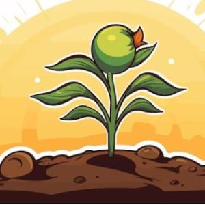 Las partes de las plantas