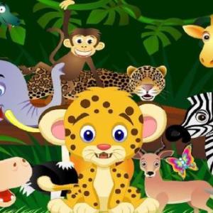 EL REINO ANIMAL 