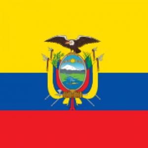 Sofia Bonilla Multijuegos:Oca,Duchazo Coincidencia
