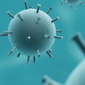 ¿Qué sabemos del coronavirus?