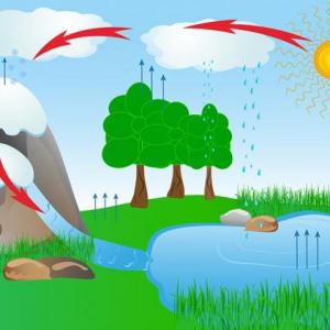ciclo del agua