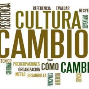 ESTRATEGIAS DEL CAMIBO ORGANIZACIONAL