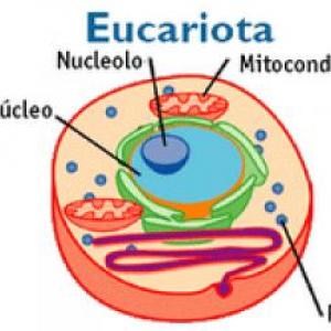 Células eucariontes