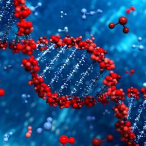 Biología molecular