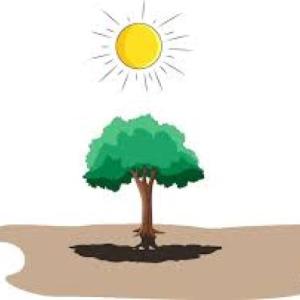 LAS SOMBRAS Y EL SOL