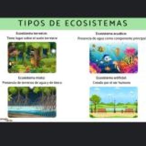 Trivia:los ecosistemas.