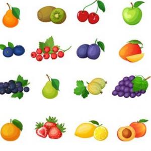 LOS VEGETALES  Y LAS FRUTAS