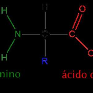 biomoléculas