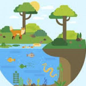 ecosistemas y bioversidad