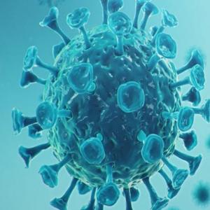 Imagen de portada del videojuego educativo: Características de los virus, de la temática Biología