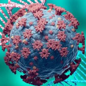 Imagen de portada del videojuego educativo: El juego de los virus, de la temática Salud