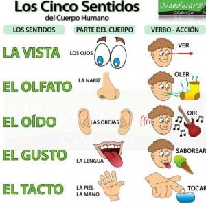 memoria de los sentidos