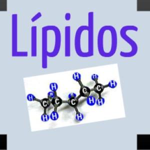 Ven, descubramos todo acerca de los Lipidos.