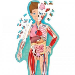 PREGUNTANDO...LOS SISTEMAS DE NUTRICIÓN