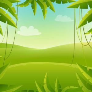 "Conoce los animales de la Selva"