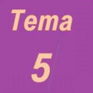 Imagen de portada del videojuego educativo: TEMA 5, de la temática Derecho