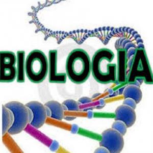  Biología abióticos y bioticos fotosíntesis 