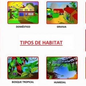 Aprendiendo en clases