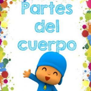 PARTES DEL CUERPO 2