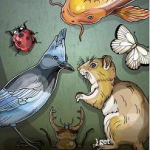 Lección de la evolución
