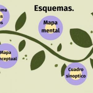 Imagen de portada del videojuego educativo: TIPOS DE ESQUEMAS , de la temática Literatura