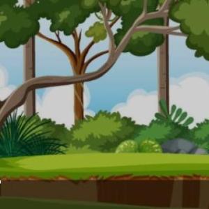 1.nivel: ENCONTRAMOS ANIMALES EN LA SELVA