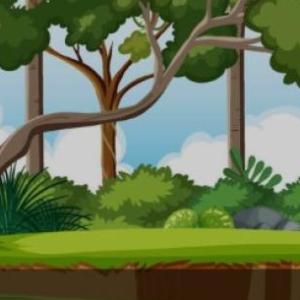 aprendemos sobre los animales 3 . niveles
