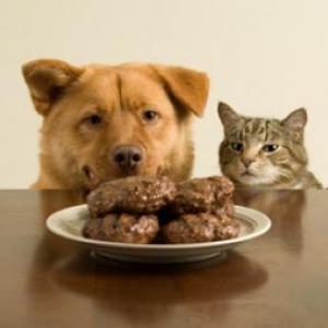 Alimentos de animales de compañía