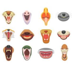 clasificación de los animales según su dentadura