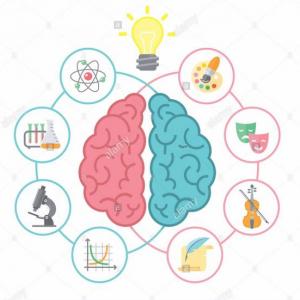 EL CEREBRO Y EL DESARROLLO COGNOSCITIVO