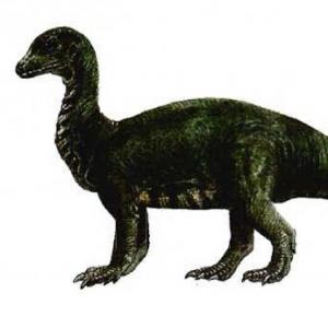 dinomagic