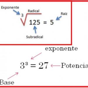 Portada del juego Propiedades de la radicación – Matemáticas