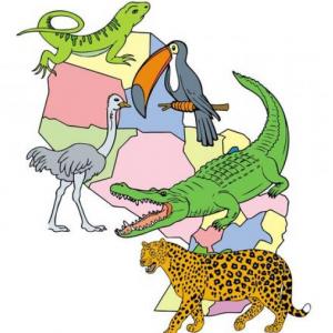 ANIMALES DEL PARAGUAY