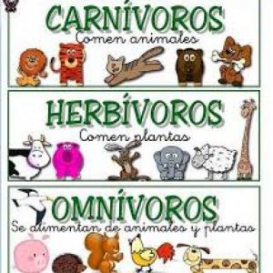 Clasificación de los Animales según su alimento