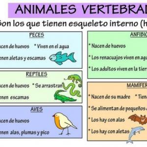 Animales Vertebrados
