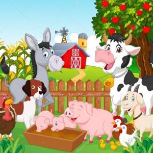 Animales de la granja y sus derivados
