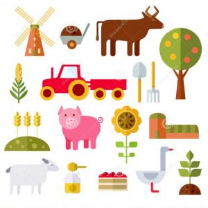 Clasificación de animales, platas y objetos