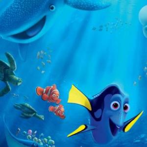 GRANDIOSOS ANIMALES ACUATICOS