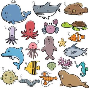 ANIMALES MARINOS