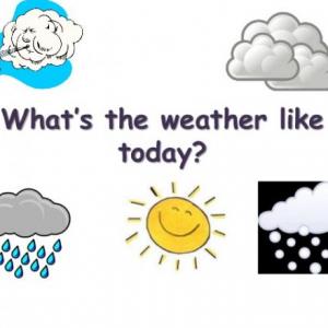 The weather