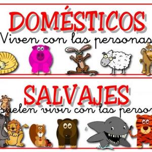 Reconoce animales domésticos y salvajes