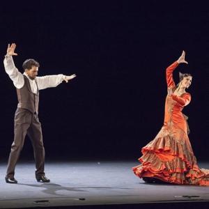 Elements del flamenc 2