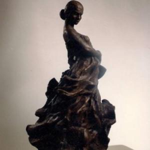 Elements del flamenc 1